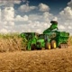 agro alagoas 2986