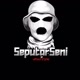 seputarseni