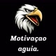 Motivação Águia.