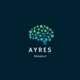 Ayres Mindset