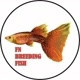 FNbreedingFish