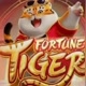 Cassino Tigre Slot