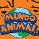 animal world