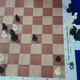 Xadrezajedrezchess