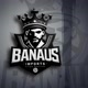 BANAUS IMPORTS
