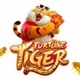 Tigre_Cash