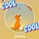 woshe