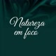 NATUREZA EM FOCO