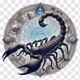 scorpio🦂🦂