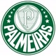 🇳🇬PALMEIRAS DODECACAMPEÃO🇳🇬