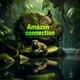 Amazon Connection