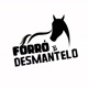 Forró_e_desmantelo0fc