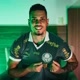 Pedro palmeiras🤡🇳🇬