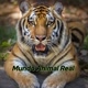 Mundo Animal Real 🐯