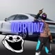Nortinz