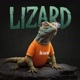 Lizard Filmes