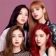 fã de blackpink