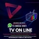 Tv Online