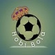 Hobbi Bola
