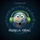 Música viral 🔉