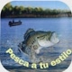 Pesca a Tu estilo