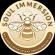 Soul Immersion