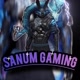 Sanum Gaming