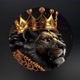 Leão_da_tribo_de judá🦁👑