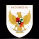 Timnas Indonesia Update