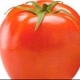 TOMATE🍅👍