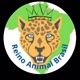 Reino animal