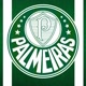 Palmeiras_raio