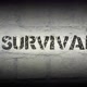 Survivalcraft