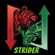 Strider Trader
