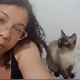 EU E MEUS GATINHOS 🐾