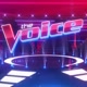 The Voice World