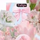 🌷FLOWERS TULIPS🌷