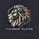 Visionary Player