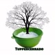 Tuppercerrado