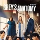 Greys Anatomy Cine
