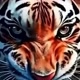 TIGRÃO OFC  🐯🐯🐯🐯🐯🐯🐯