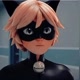 Cat noir Cat