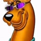 Scoob