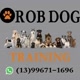 Rob Dog Training