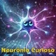 Neurônio Curioso