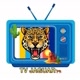 TV Jaguar