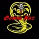 cobra kai 🐍🐍
