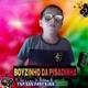 Boyzinho_da_pisadinha