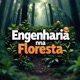 Engenharia na Floresta