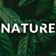 Art of Nature